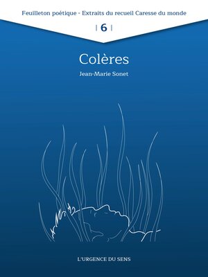 cover image of Colères